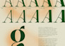 custom font family for your brand with commercial rights
